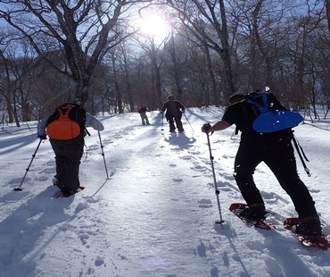 Nozawa Onsen Snow Shoeing