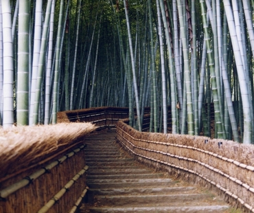 Arashiyama