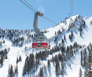 Snowbird Tram Rides Snowbird Tram Rides