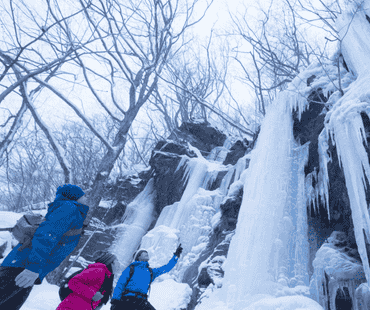Group at Oirase Gorge Frozen Waterfalls Group at Oirase Gorge Frozen Waterfalls