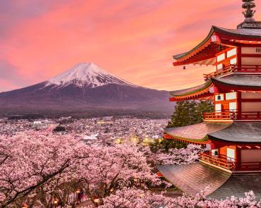Cherry Blossom Season looking at Mt Fuji Cherry Blossom Season looking at Mt Fuji
