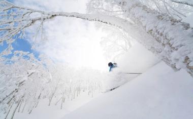 Rusutsu Resort - Skier Rusutsu Resort - Skier
